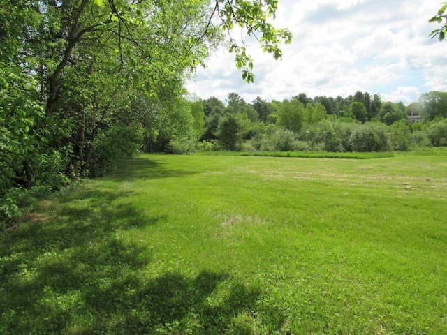 25 Moores Mill Rd, Canaan, ME 04924 - view of grassy yard with a forest view
