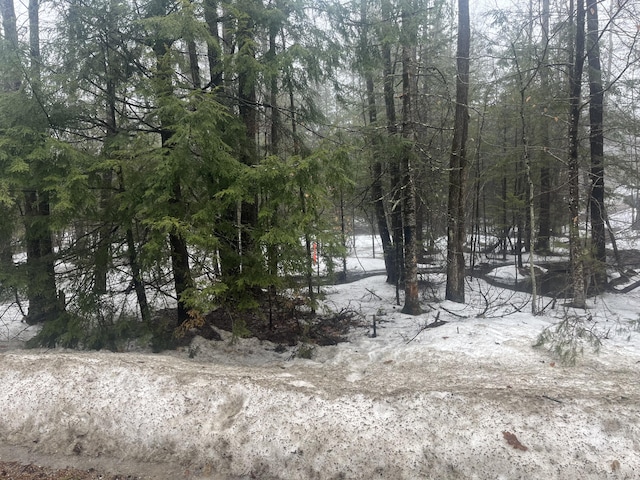 0 Hio Ridge Rd, Bridgton, ME 04009