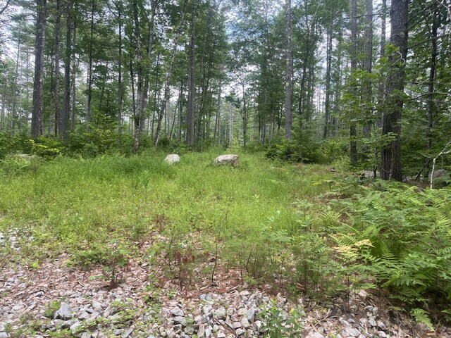 0 Hio Ridge Rd, Bridgton, ME 04009 - photo 1