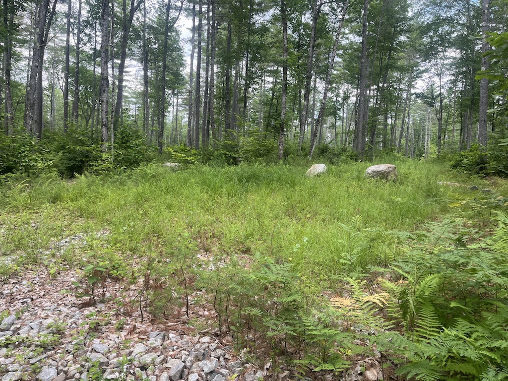 0 Hio Ridge Rd, Bridgton, ME 04009 - photo 2