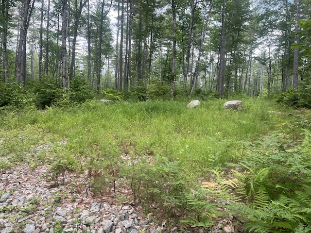 0 Hio Ridge Rd, Bridgton, ME 04009 - photo 2
