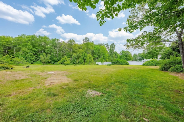 59 Milton Mills Rd, Lebanon, ME 04027 - view of green lawn with a water view and a view of trees