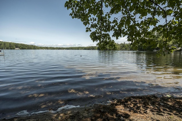 289 Shaker Rd, Gray, ME 04039 - photo 9