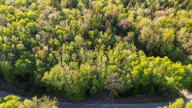 427 Ripley Rd, Harrington, ME 04643 - photo 12