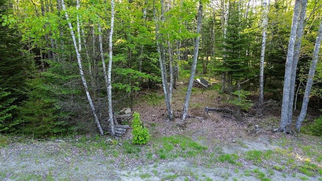 427 Ripley Rd, Harrington, ME 04643 - photo 13