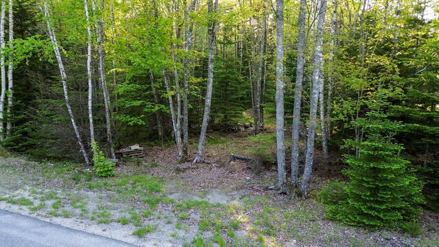 427 Ripley Rd, Harrington, ME 04643 - photo 14