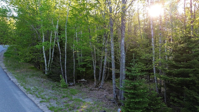427 Ripley Rd, Harrington, ME 04643 - photo 16