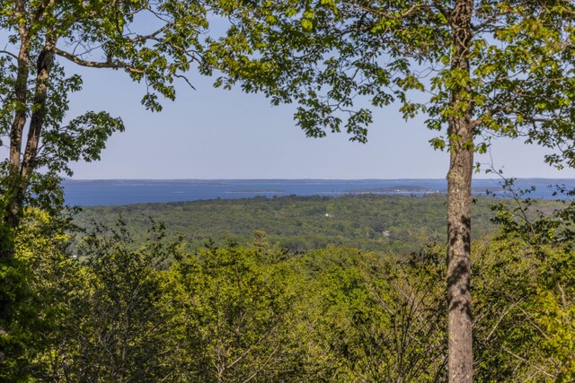 5 Spring Mountain Dr, Rockport, ME 04856 - water view with a heavily wooded area