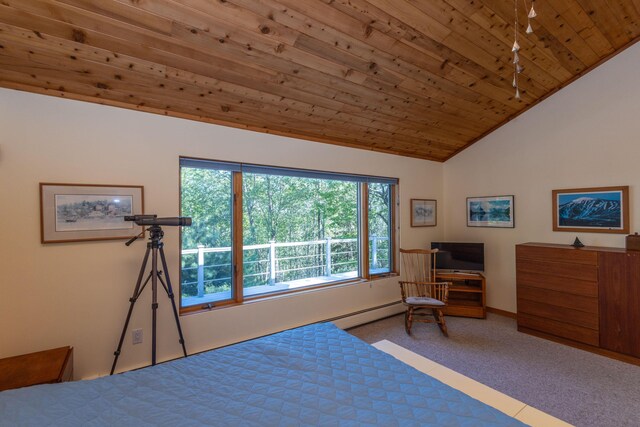 5 Spring Mountain Dr, Rockport, ME 04856 - bedroom featuring wood ceiling, carpet, vaulted ceiling, and baseboards
