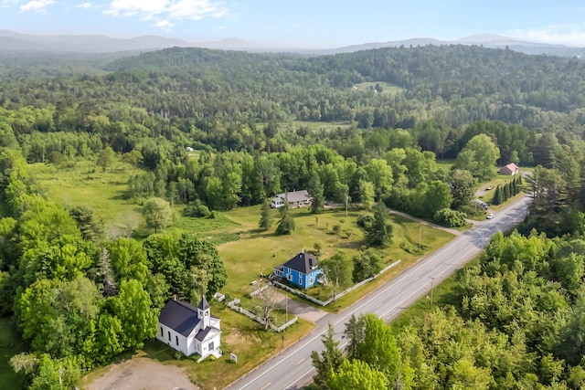 612 Airline Rd, Amherst, ME 04605 - aerial view of a forest and a mountainous background