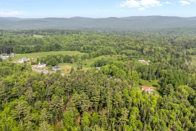612 Airline Rd, Amherst, ME 04605 - view of property location featuring a heavily wooded area and a mountainous background