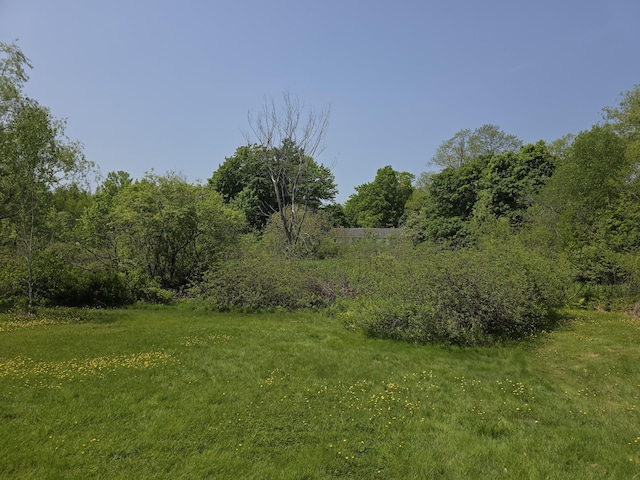 18 Cedar Ln, Belfast, ME 04915 - view of grassy yard