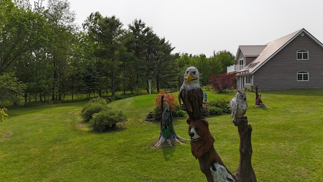 55 Pember Rd, Levant, ME 04456 - view of green lawn