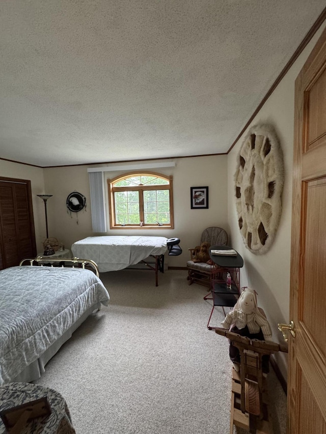 55 Pember Rd, Levant, ME 04456 - carpeted bedroom featuring a textured ceiling and crown molding