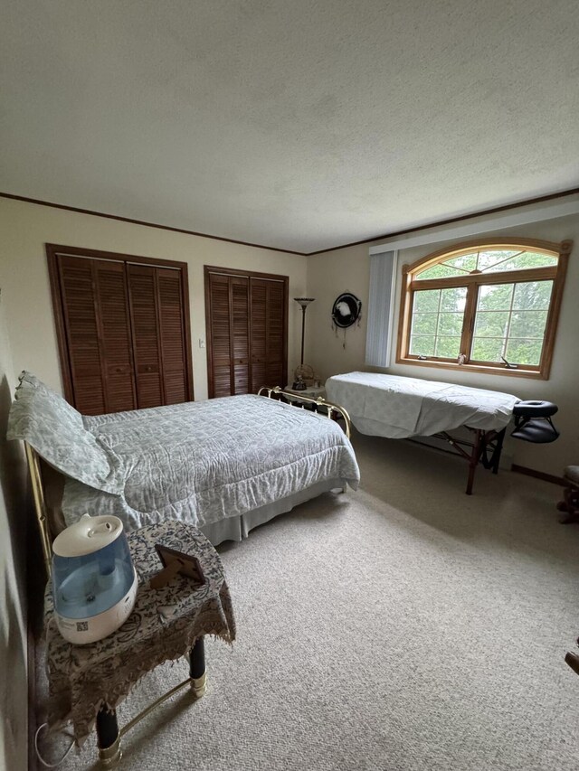 55 Pember Rd, Levant, ME 04456 - carpeted bedroom with a textured ceiling and two closets