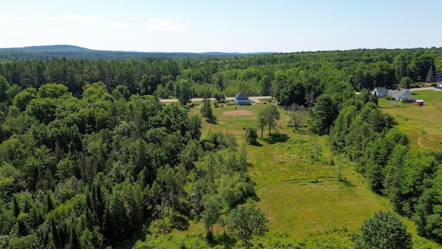 606 Airline Rd, Amherst, ME 04605 - photo 13