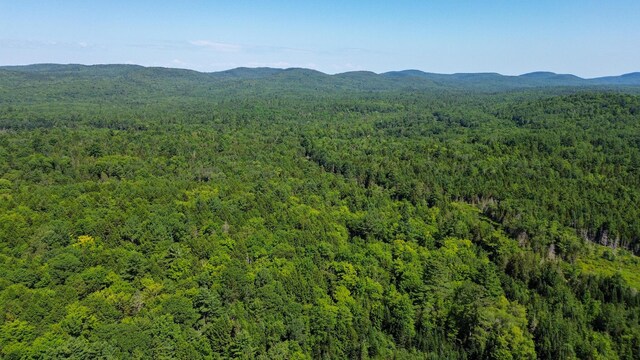 606 Airline Rd, Amherst, ME 04605 - photo 10