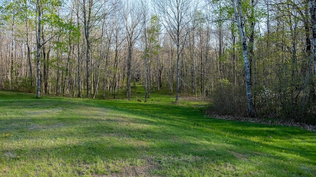 815 Grant Rd, Corinth, ME 04427 - view of green lawn with a wooded view