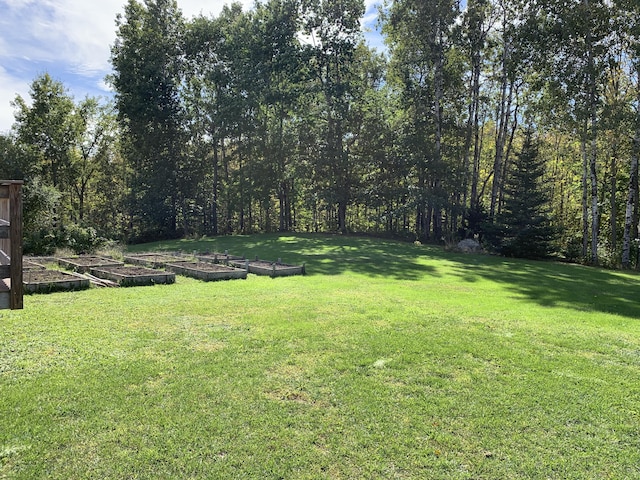815 Grant Rd, Corinth, ME 04427 - view of green lawn with a vegetable garden