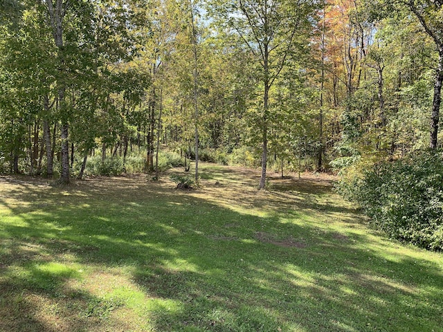 815 Grant Rd, Corinth, ME 04427 - view of green lawn featuring a wooded view