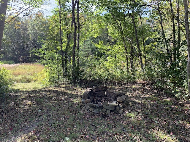 815 Grant Rd, Corinth, ME 04427 - view of wooded area