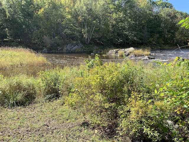 815 Grant Rd, Corinth, ME 04427 - view of woods