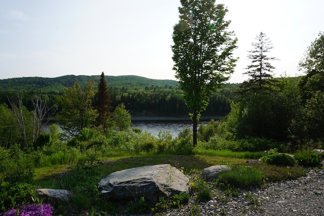 1629 Main St, Saint Francis, ME 04774 - photo 15