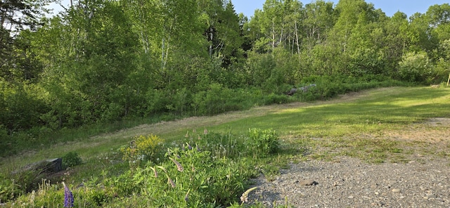 1629 Main St, Saint Francis, ME 04774 - photo 19
