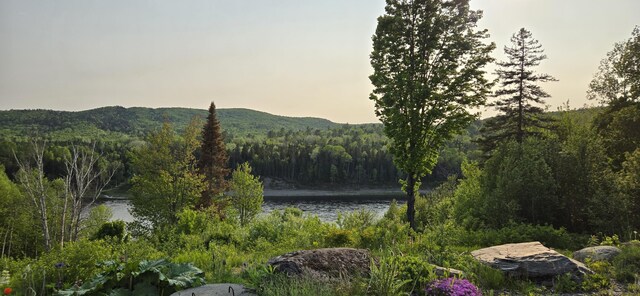 1629 Main St, Saint Francis, ME 04774 - photo 25