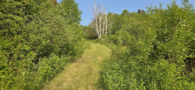 1629 Main St, Saint Francis, ME 04774 - photo 64