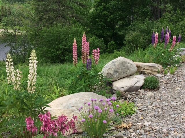 1629 Main St, Saint Francis, ME 04774 - photo 72