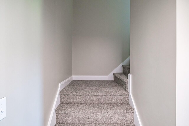 58 Pequawket Trl, Baldwin, ME 04024 - stairs featuring carpet flooring and baseboards
