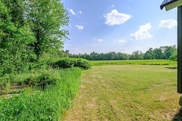 58 Pequawket Trl, Baldwin, ME 04024 - view of green lawn