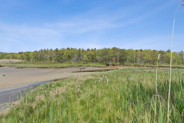 16 Marsh View Ave, Kennebunk, ME 04043 - view of woods