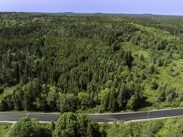 MAP1 Cutler Rd, Whiting, ME 04691 - photo 6