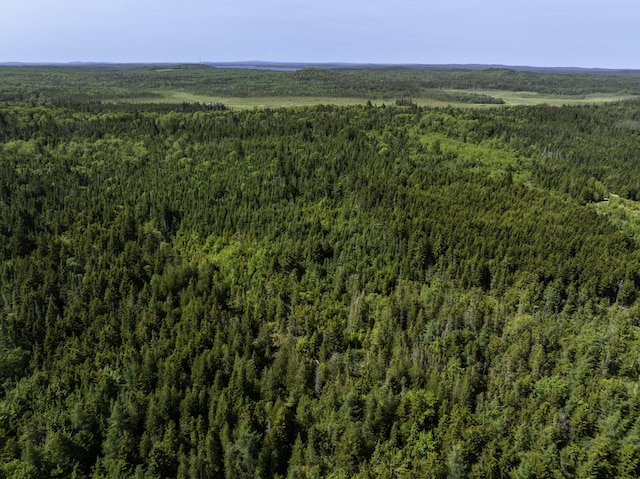 MAP1 Cutler Rd, Whiting, ME 04691 - photo 13