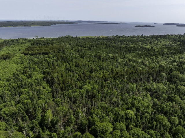 MAP1 Cutler Rd, Whiting, ME 04691 - photo 14