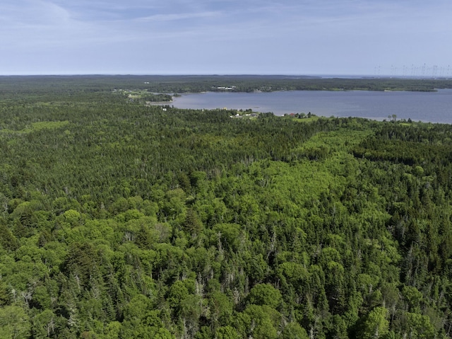 MAP1 Cutler Rd, Whiting, ME 04691 - photo 9
