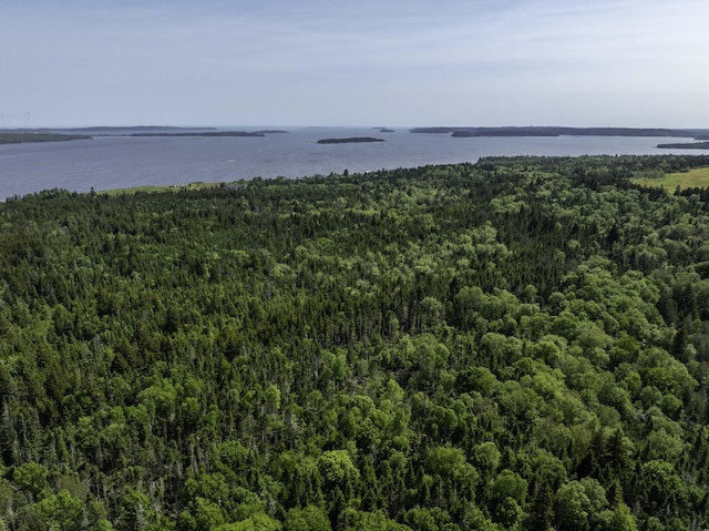 MAP1 Cutler Rd, Whiting, ME 04691 - photo 8