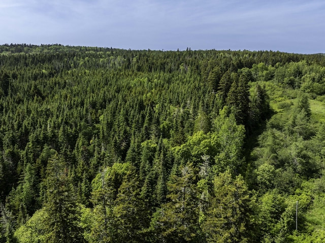MAP1 Cutler Rd, Whiting, ME 04691 - photo 15
