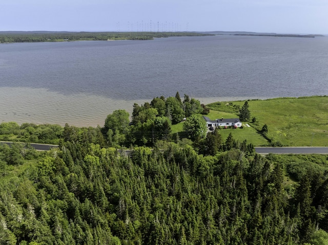 MAP1 Cutler Rd, Whiting, ME 04691 - photo 4