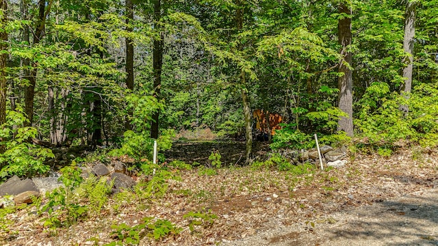0 Milliken Rd, Parsonsfield, ME 04047