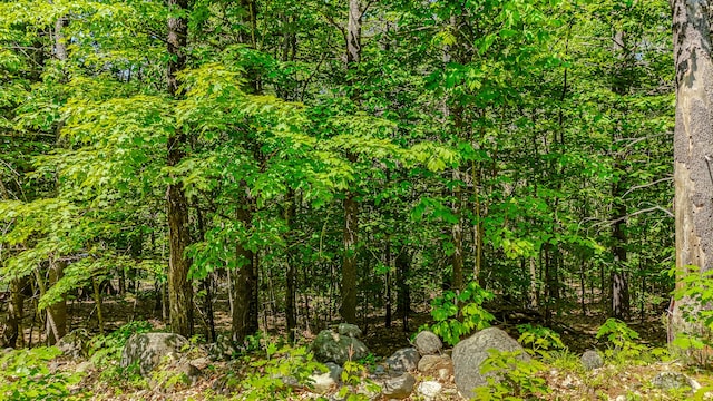 0 Milliken Rd, Parsonsfield, ME 04047