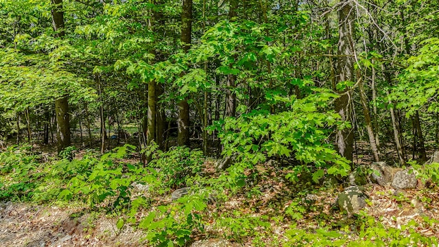 0 Milliken Rd, Parsonsfield, ME 04047