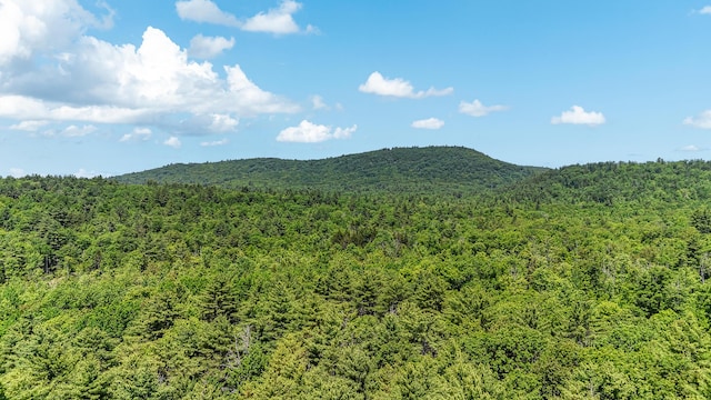 0 Milliken Rd, Parsonsfield, ME 04047
