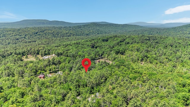 0 Milliken Rd, Parsonsfield, ME 04047
