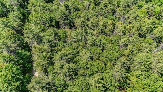 0 Milliken Rd, Parsonsfield, ME 04047