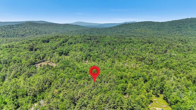 0 Milliken Rd, Parsonsfield, ME 04047