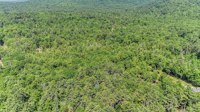 0 Milliken Rd, Parsonsfield, ME 04047