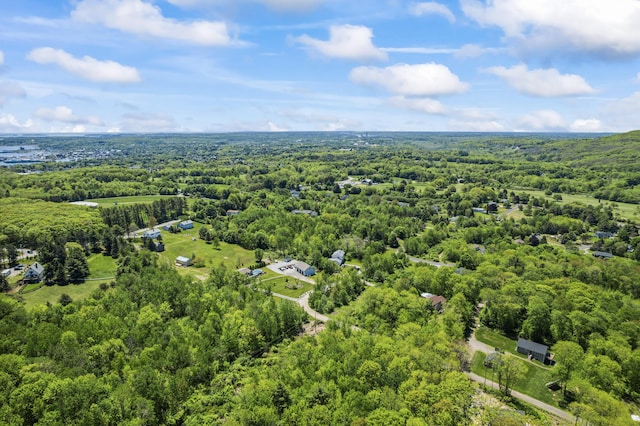 55 Mountain View Ext, Rockland, ME 04841 - bird's eye view of a forest
